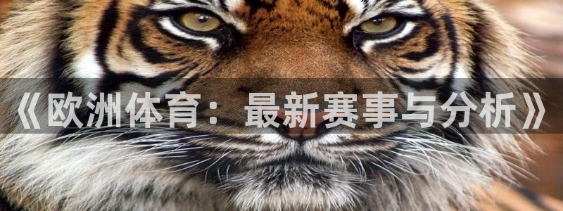 833体育在线直：《欧洲体育：最新赛事与分析》