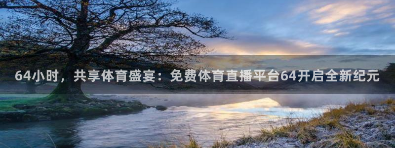 球帝带833赛事直播：64小时，共享体育盛宴：免费体育直播平台64开启全新纪元