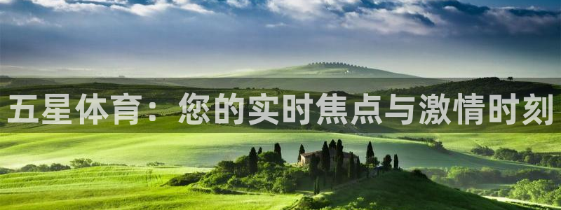 833足球直播在线直播：五星体育：您的实时焦点与激情时刻