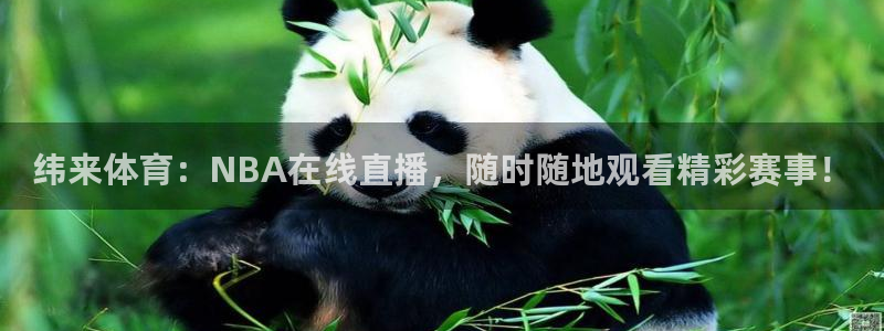 833足球免费直播
