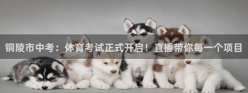 833免费看球直播