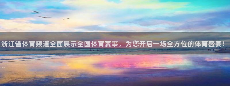 3833tv直播nba免看：浙江省体育频道全面展示全国体育赛事，为您开启一场全方位的体育盛宴！