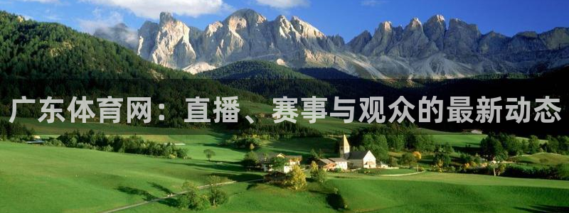 833足球直播免费观看直播：广东体育网：直播、赛事与观众的最新动态