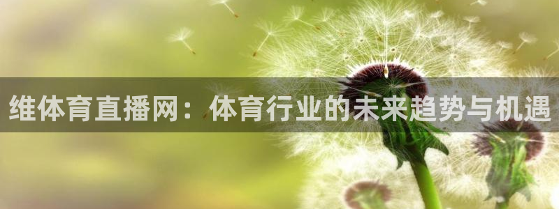 833体育直播免费观看：维体育直播网：体育行业的未来趋势与机遇