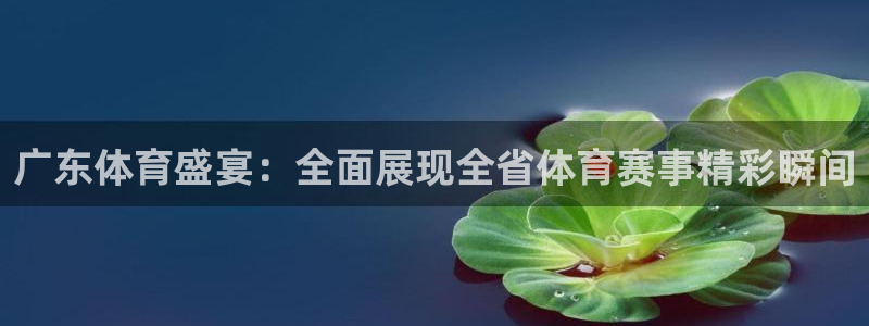 833体育在线直播在线看：广东体育盛宴：全面展现全省体育赛事精彩瞬间