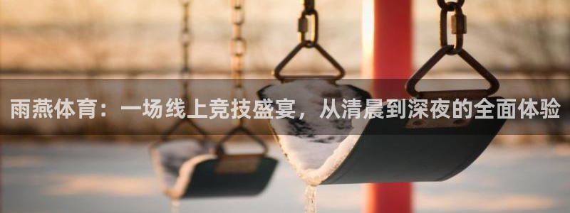 833直播足球比赛官网：雨燕体育：一场线上竞技盛宴，从清晨到深夜的全面体验