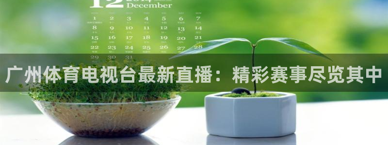 833nba直播在线观看免费：广州体育电视台最新直播：精彩赛事尽览其中