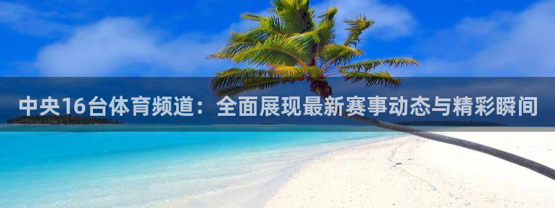833体育在线直播在线看免费版：中央16台体育频道：全面展现最新赛事动态与精彩瞬间
